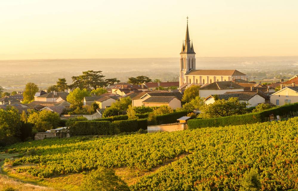 beaujolais
